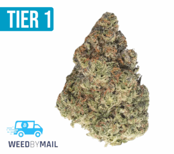 Tier 1 Han-Solo Burger (35.92% THC) (Indica)