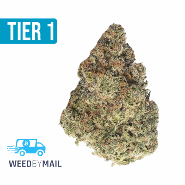 Tier 1 Han-Solo Burger (35.92% THC) (Indica)