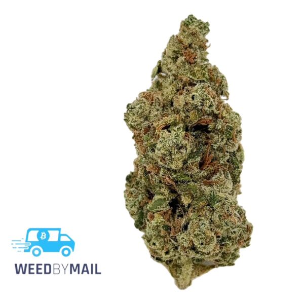 Tier 1 Dirty Girl (36.88%THC)(Sativa)
