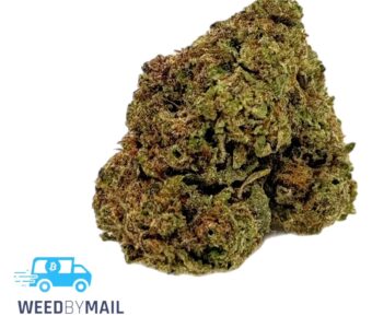 Tier 3 Wifi 43 (27.89% THC)(Indica)