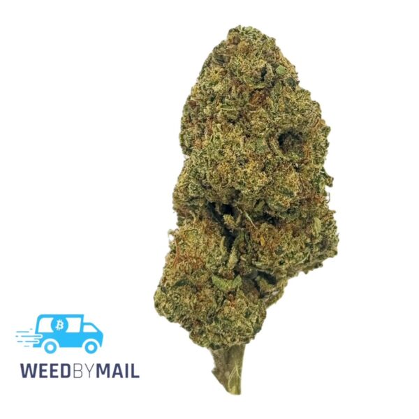 Tier 3 Island Sweet Skunk (28.93% THC)(Sativa)