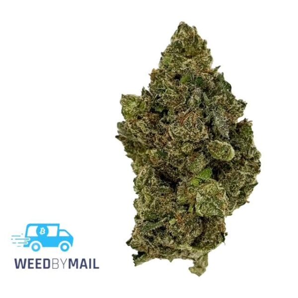 Tier 3 Galactica OG (28.74% THC) (Indica)