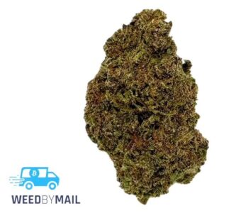 Tier 3 Foul Mouth (27.90% THC)(Indica)