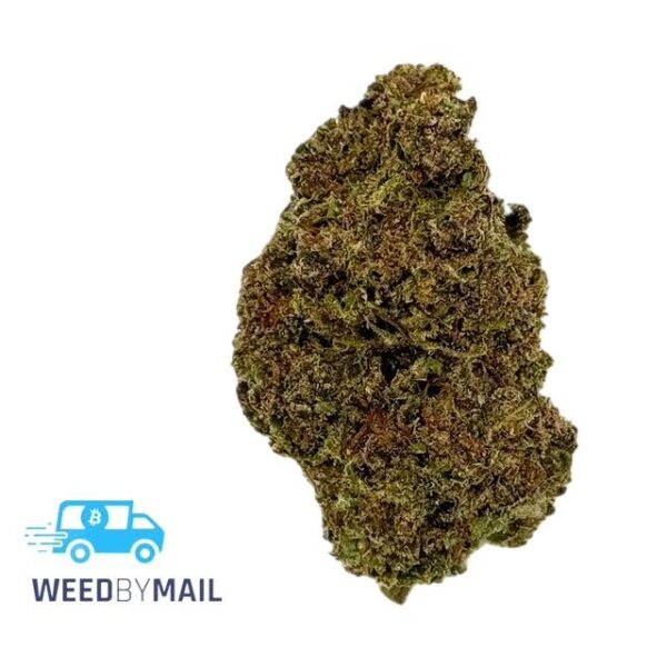 Tier 3 Foul Mouth (27.90% THC)(Indica)