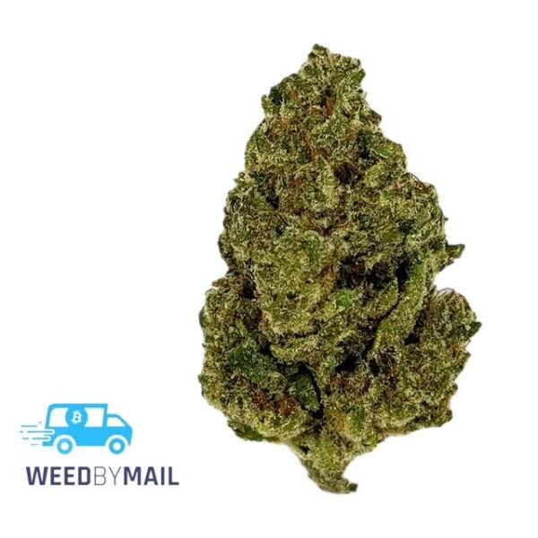 Tier 3 Super Silver Haze (28.93% THC)(Sativa)