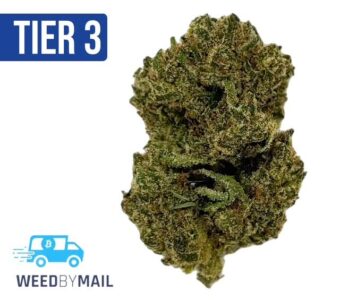 Tier 3 Galactica OG (28.74% THC) (Indica)