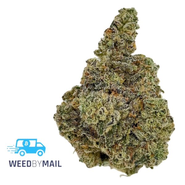 Tier 1 Donny Burger (35.78% THC) (Indica)
