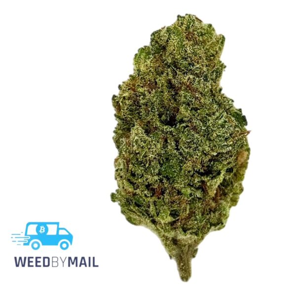 Tier 3 Sour Jack (28.87% THC)(Sativa)
