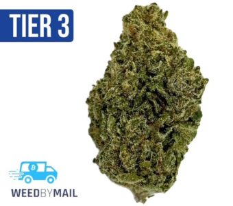 Tier 3 Super Silver Haze (28.93% THC)(Sativa)