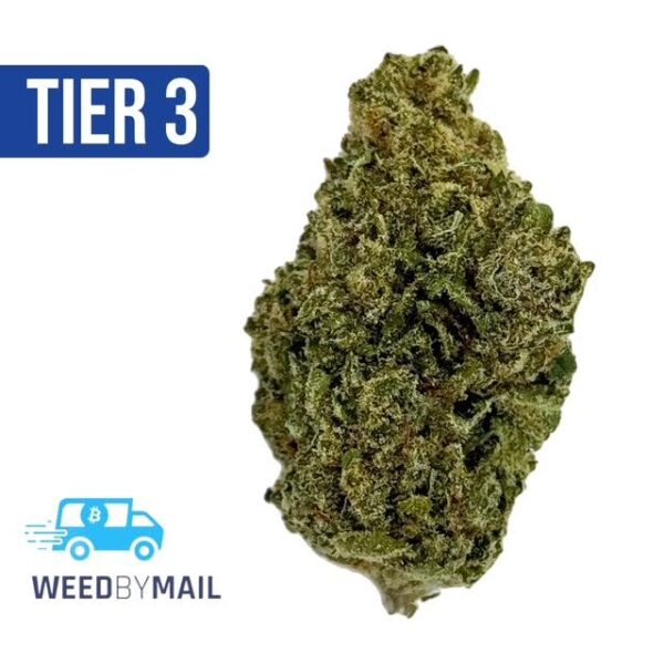 Tier 3 Super Silver Haze (28.93% THC)(Sativa)