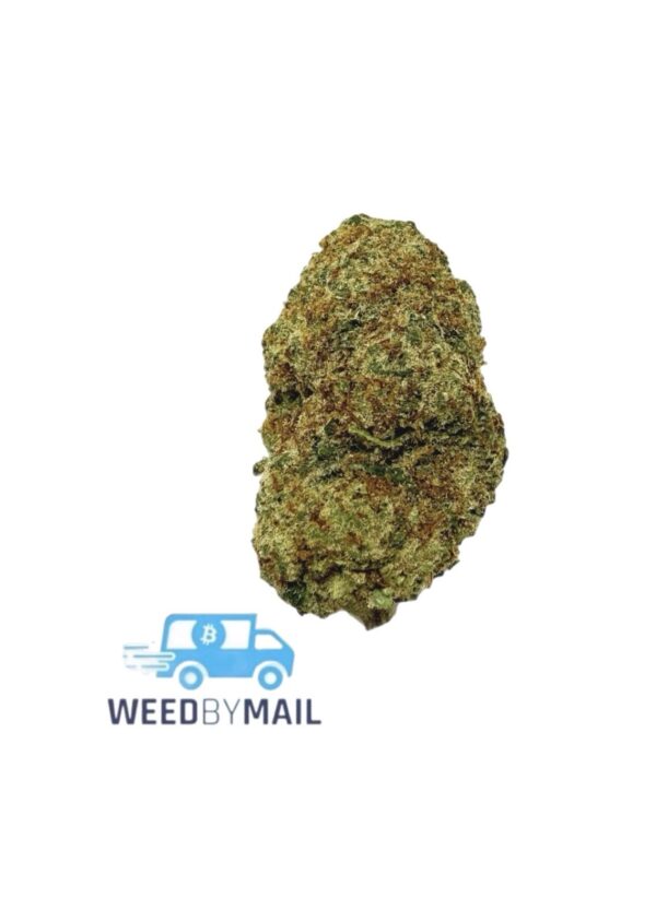 Tier 2 Electric Lemonade (31.79% THC)(Sativa)