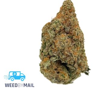 Tier 3 Sour Willie (28.89% THC)(Sativa)