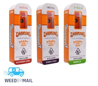 Dabwoods Disposable (5 Options)