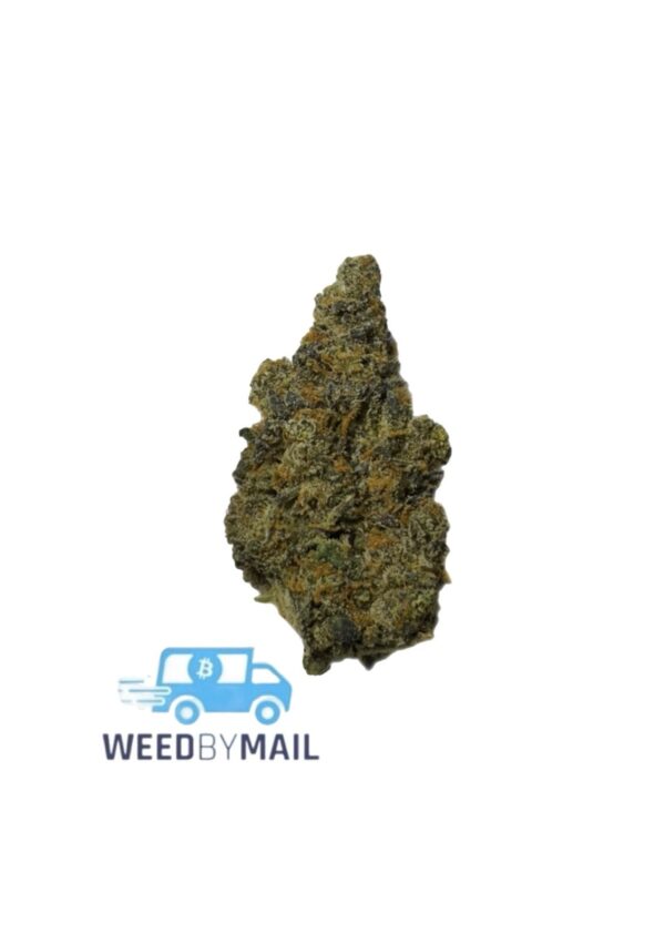 Tier 2 Blackberry Kush (31.92% THC)(Indica)
