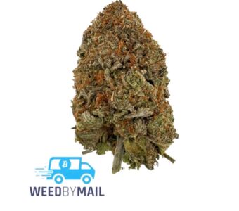 Tier 3 Phantom OG (28.50% THC) (Indica)
