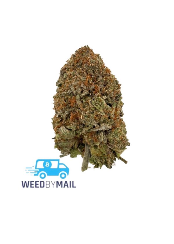 Tier 3 Phantom OG (28.50% THC) (Indica)