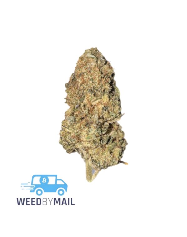 Tier 2 Presidential OG (32.13% THC)(Indica)