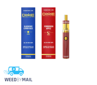 Dime – 1G Signature Line Disposable Pen (15 Options)