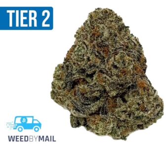 Tier 2 Kush Crasher (32.89% THC)(Hybrid)