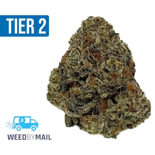 Tier 2 Kush Crasher (32.89% THC)(Hybrid)