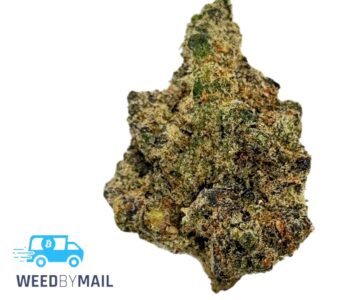 Tier 1 Slurricane (35.89% THC) (Indica)