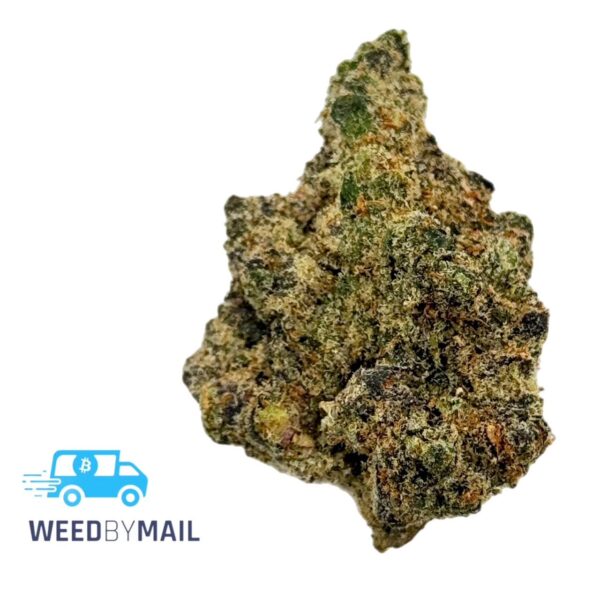 Tier 1 Slurricane (35.89% THC) (Indica)