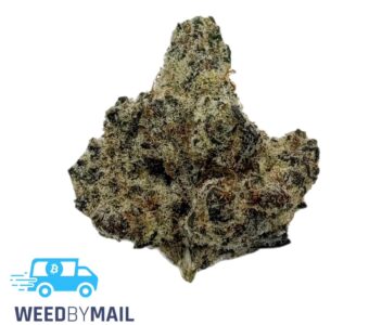 Tier 1 Bacio Gelato (35.86% THC)(Hybrid)