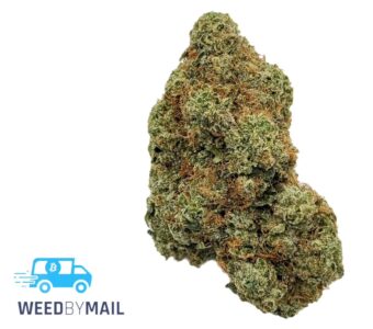Tier 1 Diamond OG (36.84% THC)(Indica)