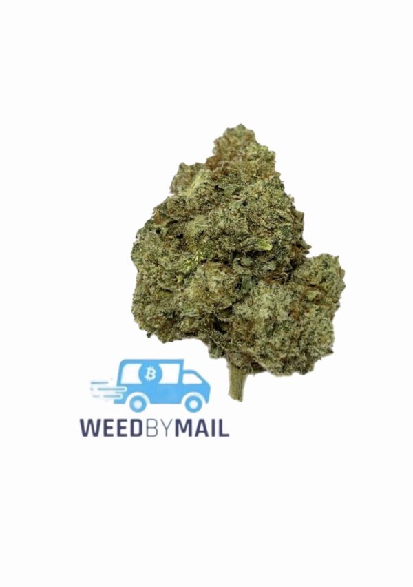 Tier 2 GG4 (32.31% THC)(Hybrid)