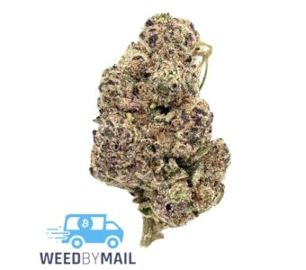 Tier 1 Animal Mints (35.79% THC)(Hybrid)