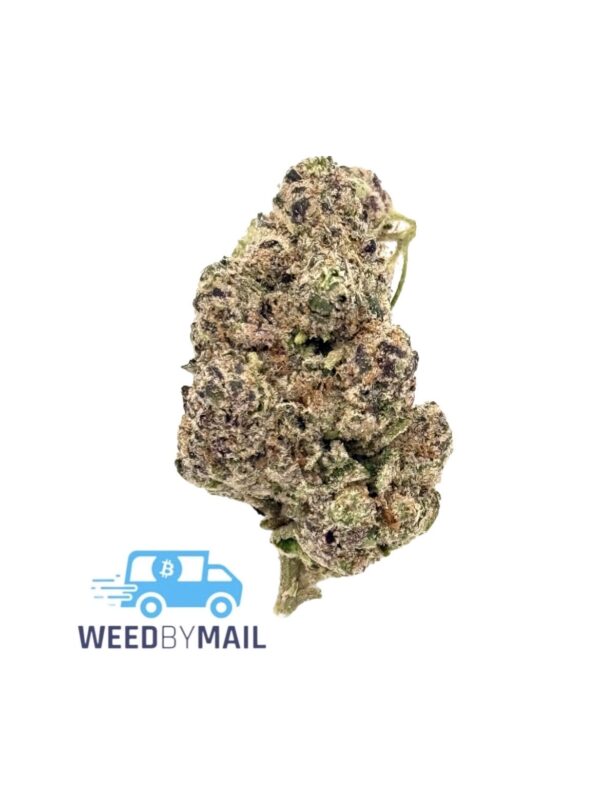 Tier 1 Animal Mints (35.79% THC)(Hybrid)