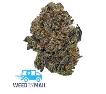 Tier 3 Ice Cream Cake (27.76% THC)(Hybrid)