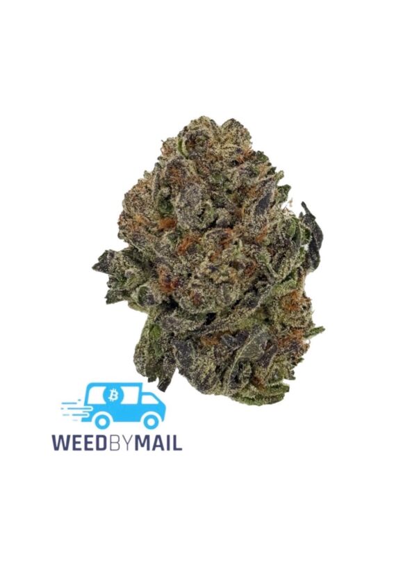 Tier 3 Ice Cream Cake (27.76% THC)(Hybrid)