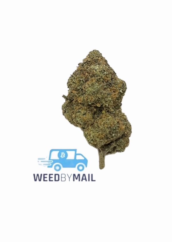 Tier 2 Pink Runtz (32.24% THC)(Hybrid)