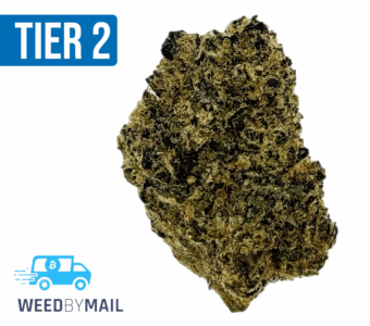 Tier 2 Purple Haze (32.92% THC)(Sativa)