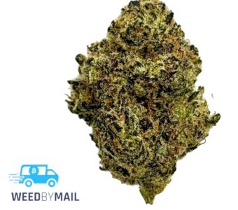 Tier 1 Firewalker OG (35.89% THC)(Sativa)