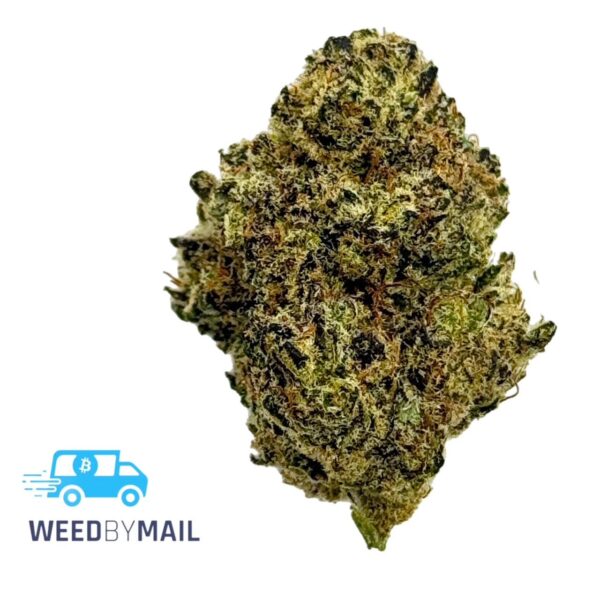 Tier 1 Firewalker OG (35.89% THC)(Sativa)