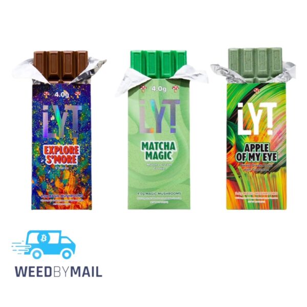 LYT - Magic Mushroom Chocolate Bar 4g (11 Options)