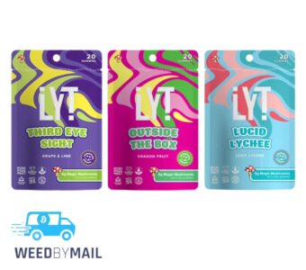 LYT – Magic Mushroom Gummies 5g (9 Options)