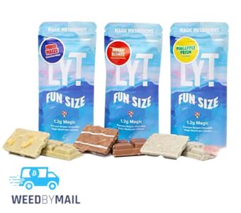 LYT – Fun Size Magic Mushrooms 1.2g (2 Options)