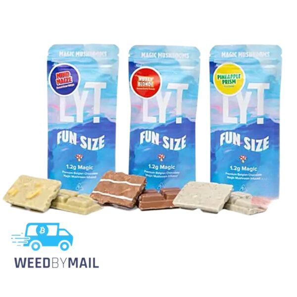 LYT - Fun Size Magic Mushrooms 1.2g (2 Options)