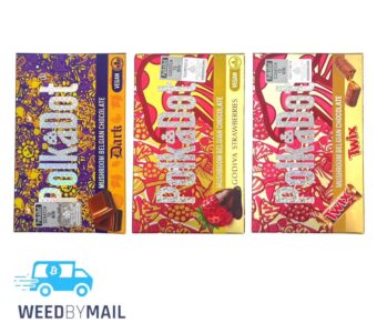POLKADOT – Mushroom Belgian Chocolate 4g (8 Options)