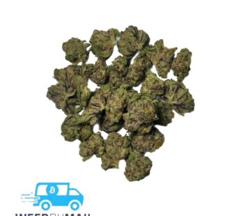 Exotic Shelf (Small Buds) – Purple Punch (30% THC) Indica