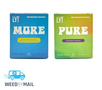LYT  Mushroom Capsule 15 Pcs