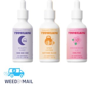 Yummi Karma – Cannabis Tincture (8 Options)