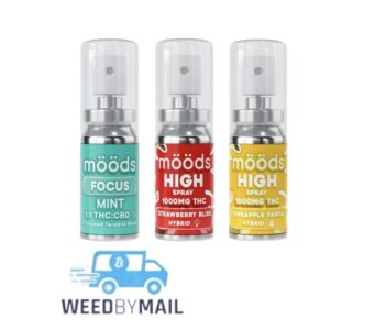 Moods High Spray 1000mg (3 Options)
