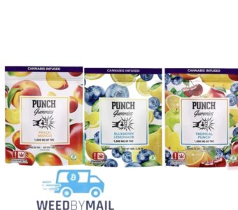 Punch – 1000mg Gummies (5 Options)