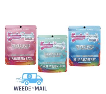 A Cbd Gummies Reviewa Cbd Gummies Supplement