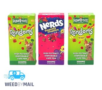 Rowntree’s- 2g Disposable (1 Options)