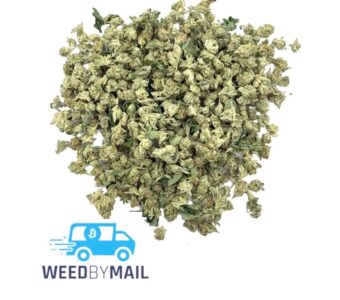 Tier 2 (Micro Nugs) Green Crack (29.30% THC)(Sativa)
